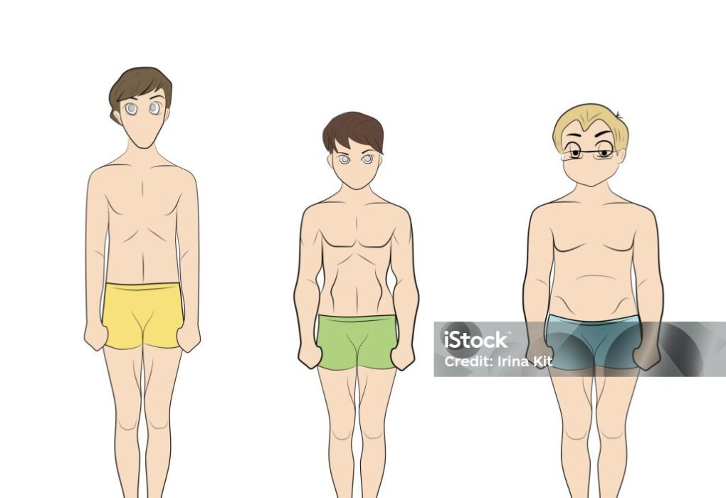 Endomorfo Significado: Understanding the Endomorph Body Type
