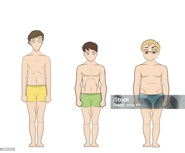Endomorfo Significado: Understanding the Endomorph Body Type
