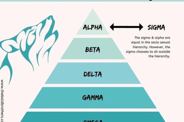 Sigma Vs Alpha