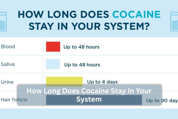 How Long Does Cocaine Stay in Your System