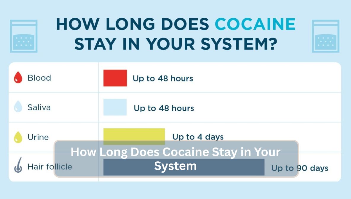 How Long Does Cocaine Stay in Your System
