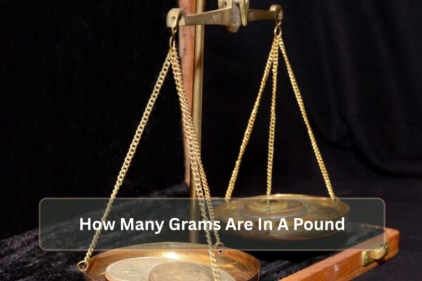 How Many Grams Are In A Pound? How Many Grams Are In A Pound