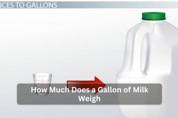 How Much Does a Gallon of Milk Weigh? How Much Does a Gallon of Milk Weigh