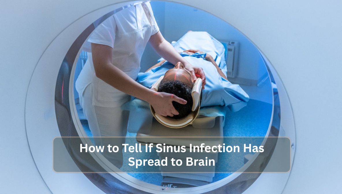 How to Tell If Sinus Infection Has Spread to Brain