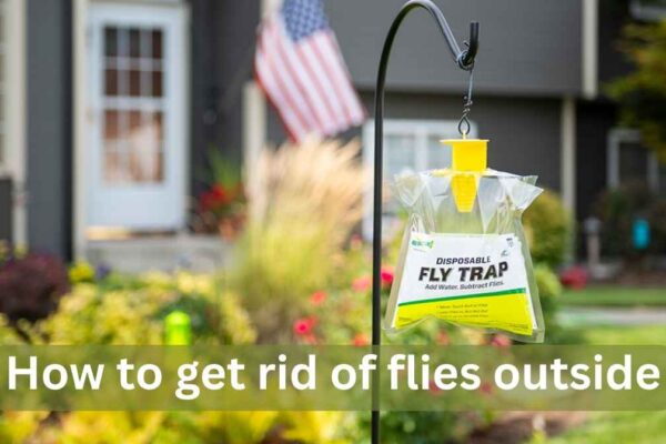 how to get rid of flies outside