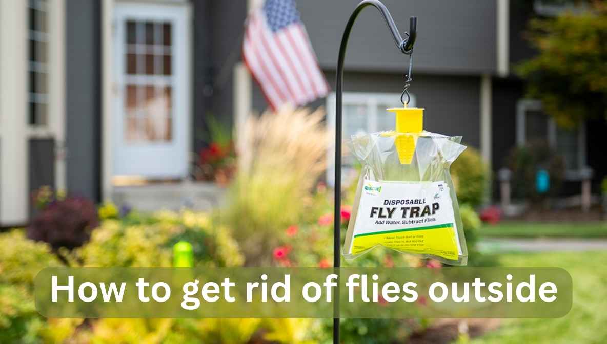 how to get rid of flies outside