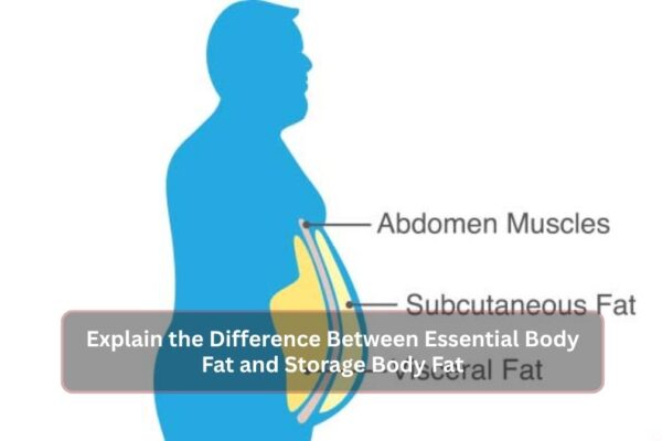 Explain the Difference Between Essential Body Fat and Storage Body Fat
