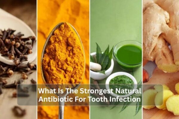 What Is The Strongest Natural Antibiotic For Tooth Infection? What Is The Strongest Natural Antibiotic For Tooth Infection