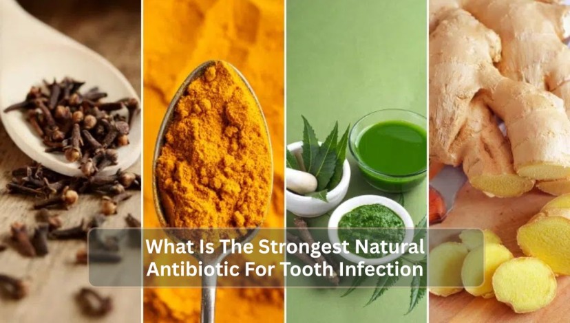 What Is The Strongest Natural Antibiotic For Tooth Infection