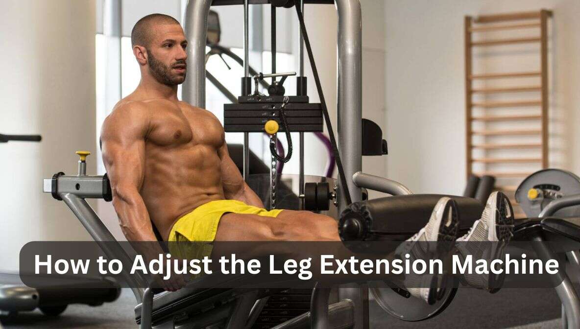 how to adjust the leg extension machine