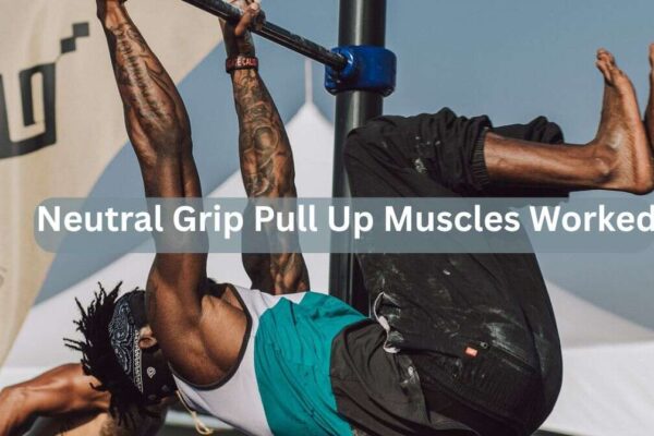 neutral grip pull up muscles worked (1)
