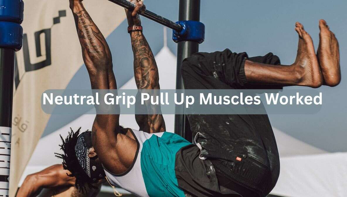 neutral grip pull up muscles worked (1)