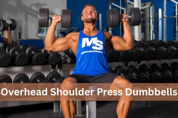 overhead shoulder press dumbbells
