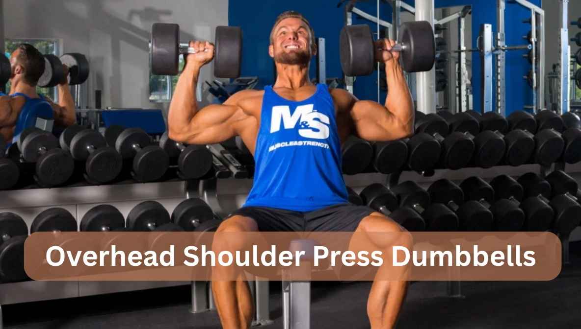 overhead shoulder press dumbbells