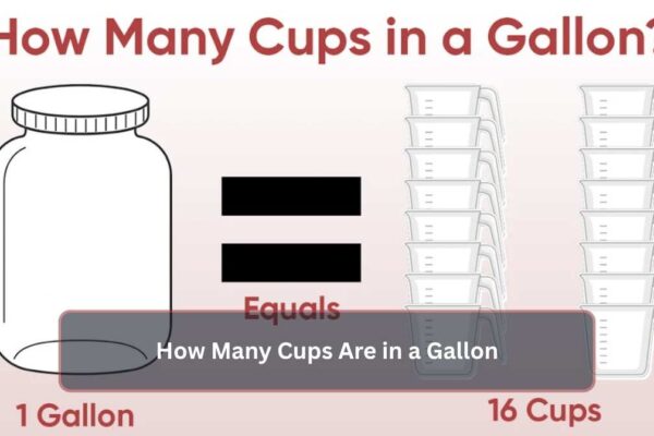 How Many Cups Are in a Gallon