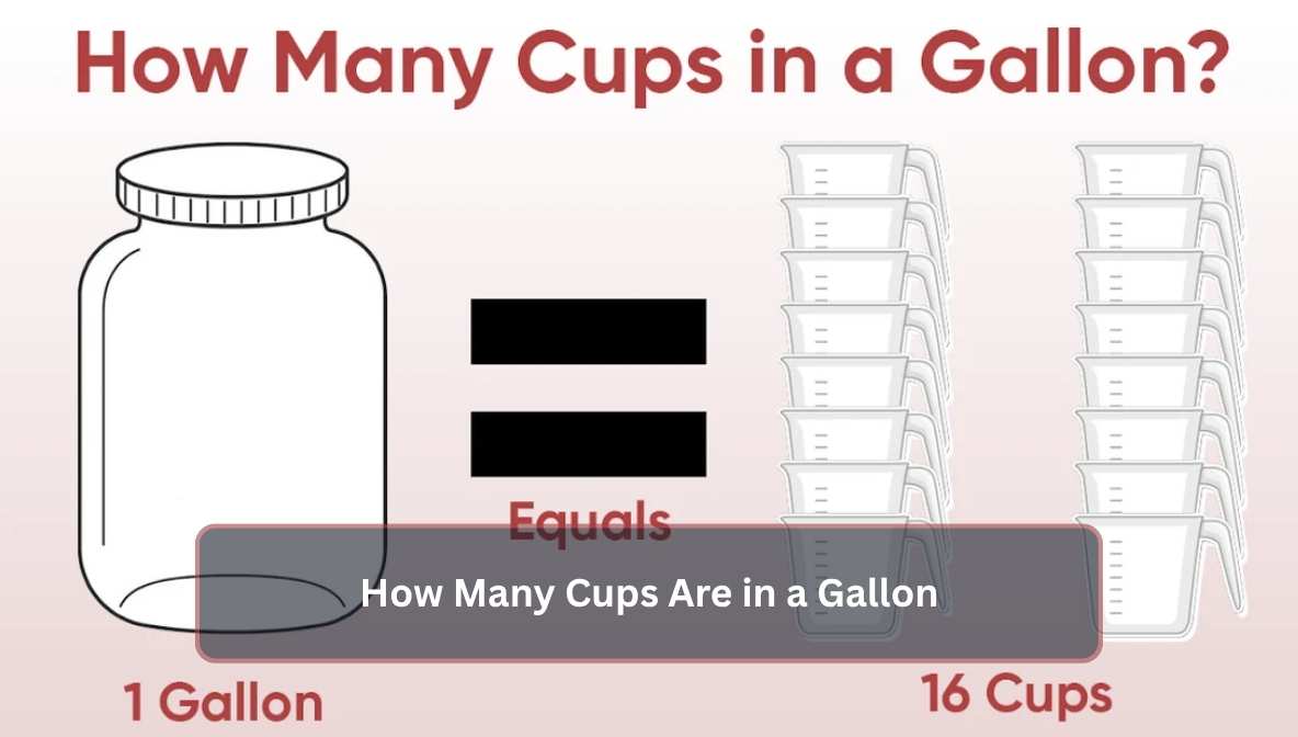 How Many Cups Are in a Gallon