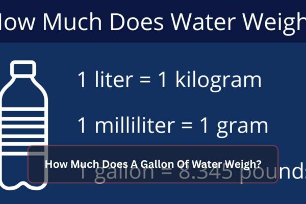 How Much Does A Gallon Of Water Weigh