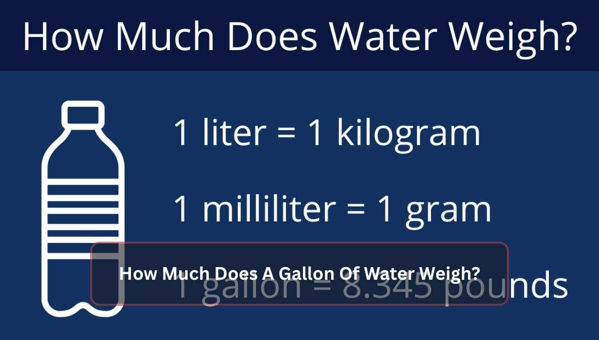 How Much Does A Gallon Of Water Weigh