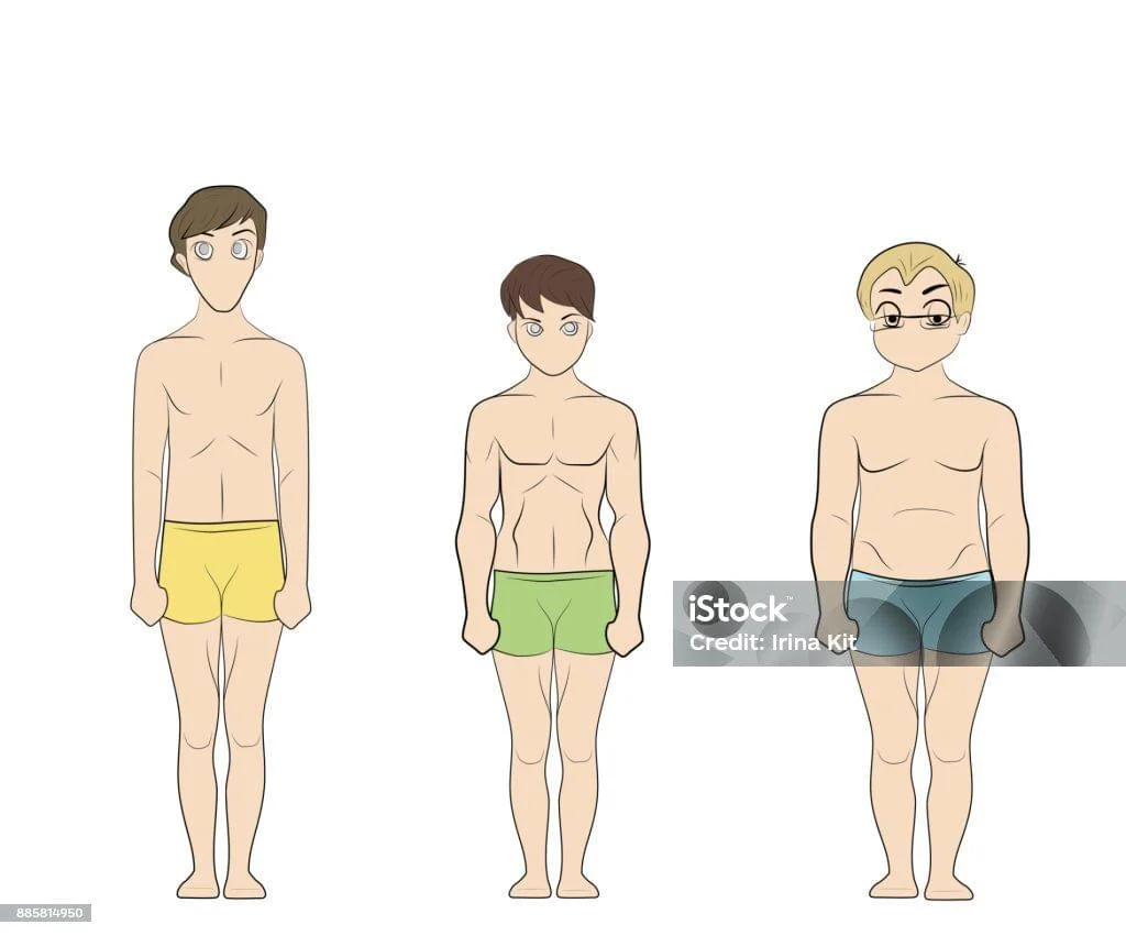 Endomorfo Significado: Understanding the Endomorph Body Type